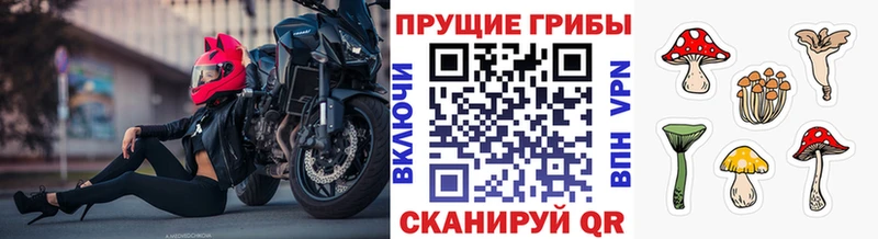 Галлюциногенные грибы мицелий  Купить где  Усть-Кут 